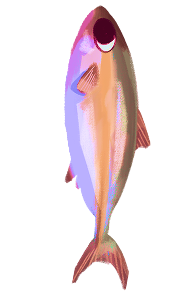 pescadito